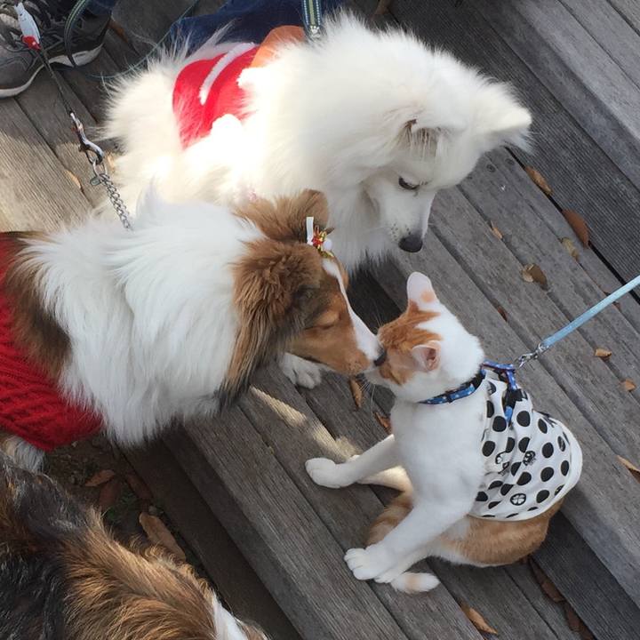 F932ae85 5e1c 45f6 9473 d714e92e60d1 1513475085486