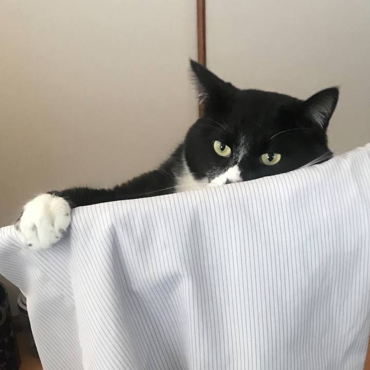 F932b5df e550 4bfb b5a6 5be49ba327df 1652067362781