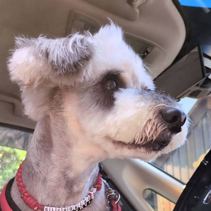 F932fd0d e7e8 4871 bfbd 2f1397aa29f3 1755582214750