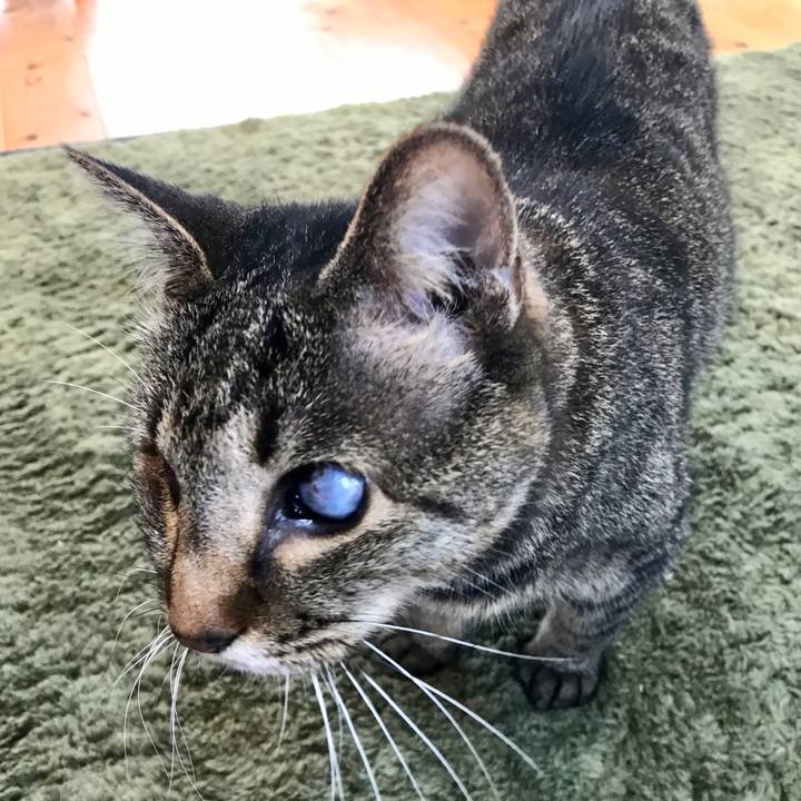 F9330571 6c7d 438b 99a9 4725d0e8a775 1622155651871