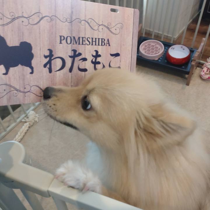 F9332927 4567 4c6b a679 08e05f205d8b 1760069430665