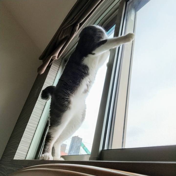 F9332a3c fb99 439b 8707 9e94c0ff5c35 1623544918459