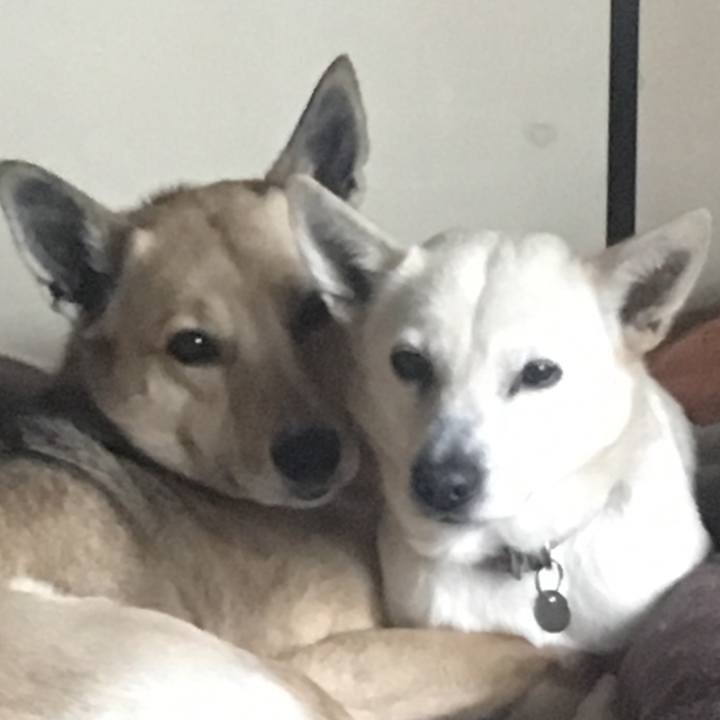 F93348b3 2e5d 4de9 bf27 91835116fff3 1522551086851