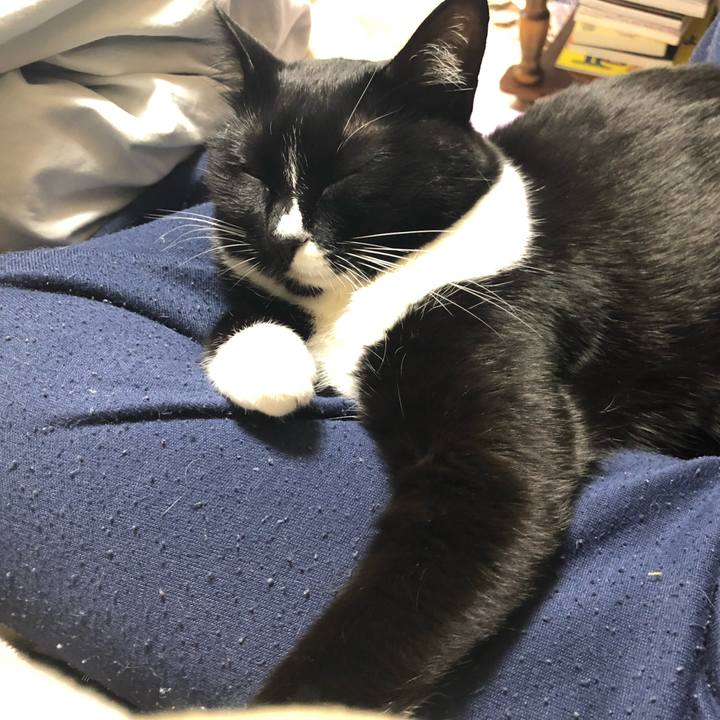 F9334c53 18e2 4b21 88a5 7258ae88d115 1550230944012