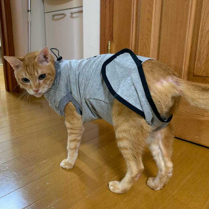 F9336208 88b4 46e6 af45 13c7a54a4c66 1634736917205