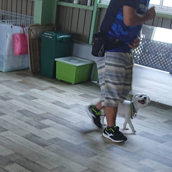 F933c088 de23 4d31 88ca de5d495ae105 1533457706103