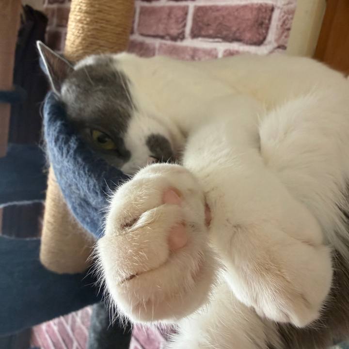 F933fc5d 7e60 4d2c 9515 22529d23cab2 1761956957347