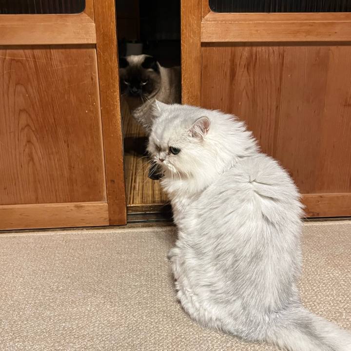 F93419b8 8575 4646 a8be 3ce256d96964 1671964754975