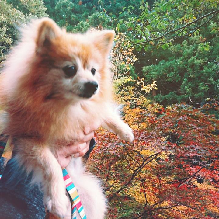 F934355c c8c1 4e15 8569 1329919e1a57 1573428206865