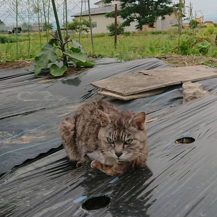 F934550e 241b 4fe8 9c65 71d9030886a2 1592903626559