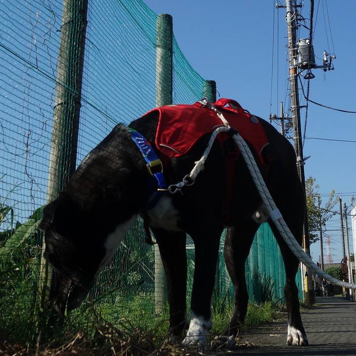 F934975e 4e42 4cd0 b55d 9d4dd82295d2 1666313379162