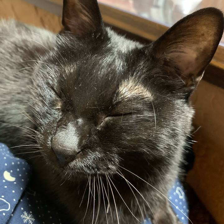 F934ae0c 64e9 4109 9349 bdca12461f98 1648267810956