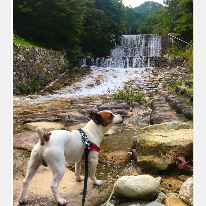 F934c0ae 599a 463a 92cf b1f789dbb177 1537793776027