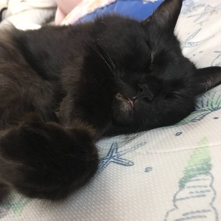 F934c807 1b3d 49fb b1c2 2d2134ee9b7b 1559950524902