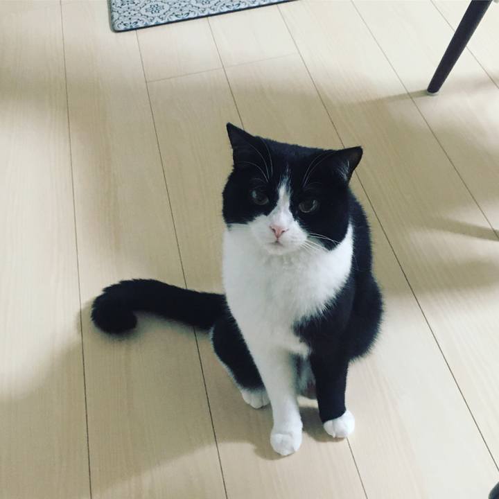 F93520fb dbe5 4ebb 9211 fc52249a2e25 1590144645106