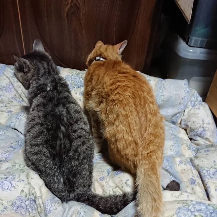 F93549df a49a 4b00 a52f 1a3413e4ab41 1589976545433