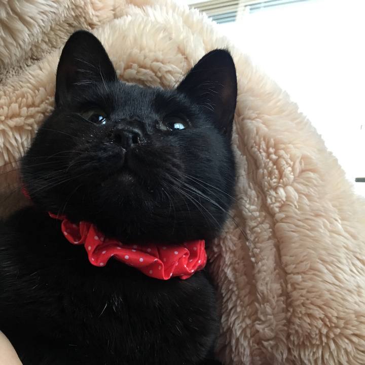 F93560ce 665b 4e88 9266 da22a3960191 1548542075052