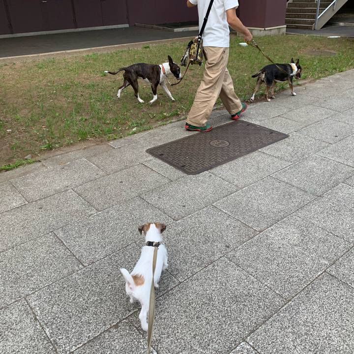 F93565c1 8cf5 48cf b6e5 806556ef4a39 1561109538159