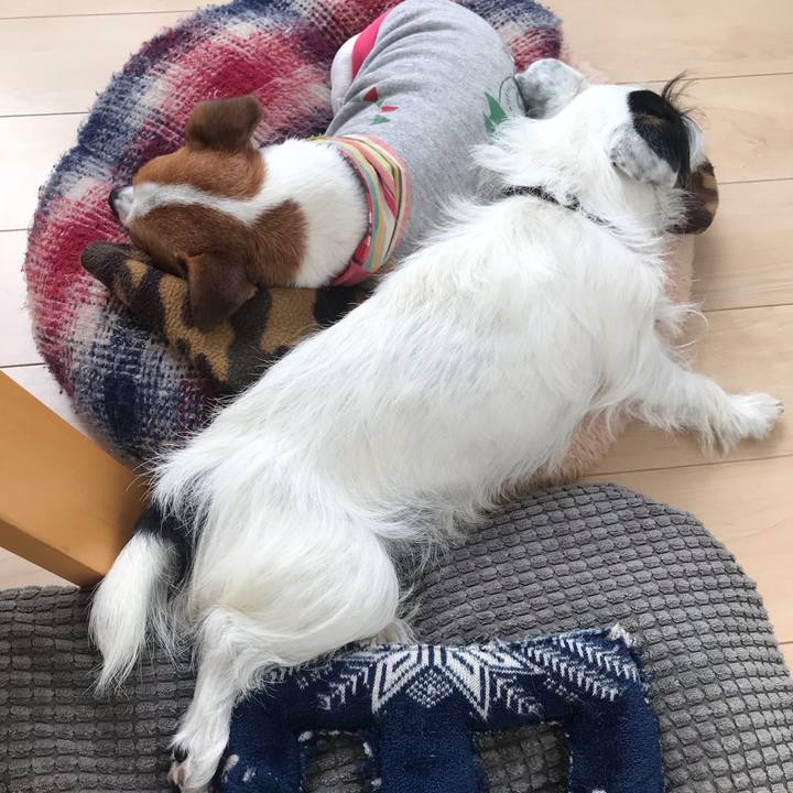 F9357881 84b2 4f76 b6d0 391b1b5ead68 1540422605357