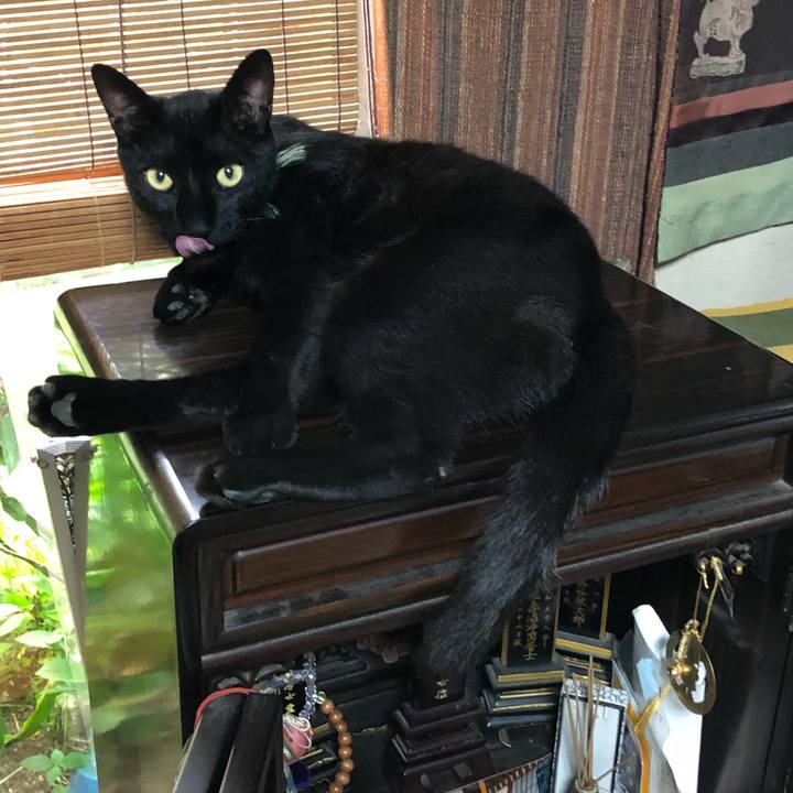 F935854f 6cd8 467f a06d 0532ca93e170 1527666214952