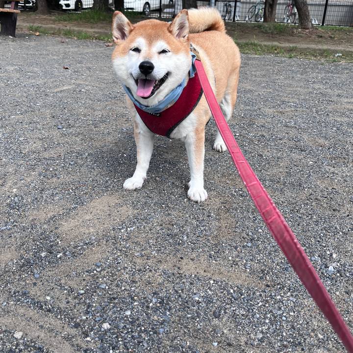 F9359af6 89e3 4217 abbd 0a743dfc7208 1722039139400