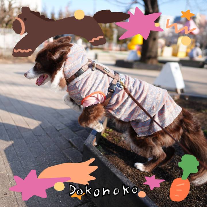 F935f8c8 6082 4e9a 958f 48e2cbf5d1d5 1772358741870