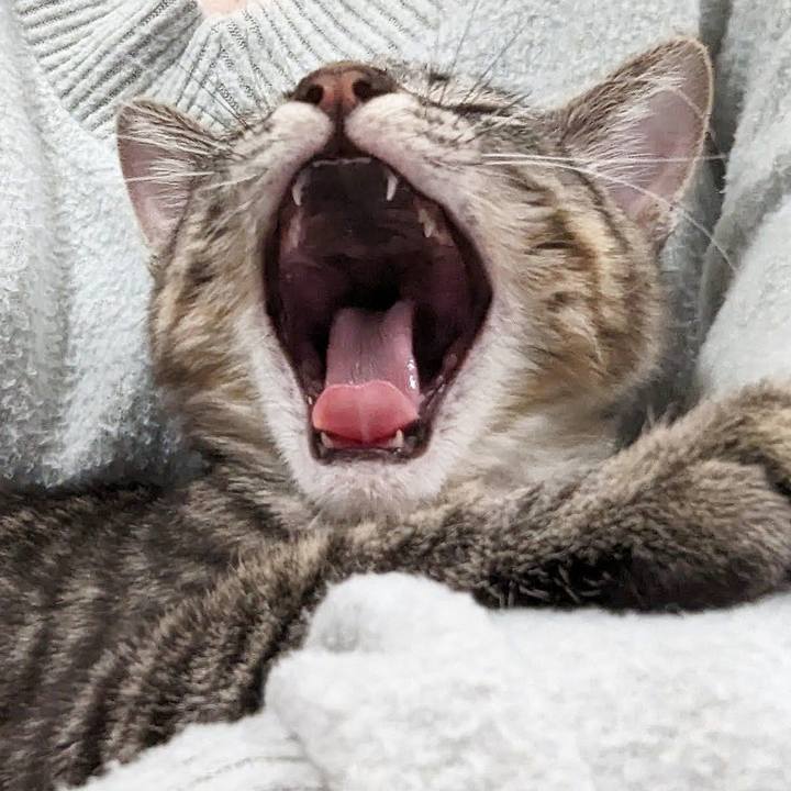 F93651b0 ca3d 44f0 91e0 6f8cd40e9dc6 1705550868425