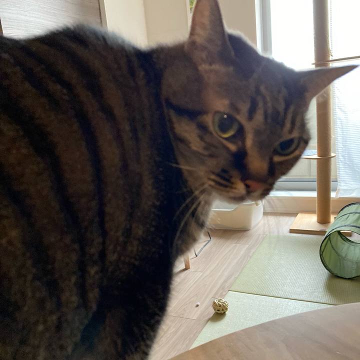 F936922b 9a74 4992 94e6 515a4df8ec22 1678073154272