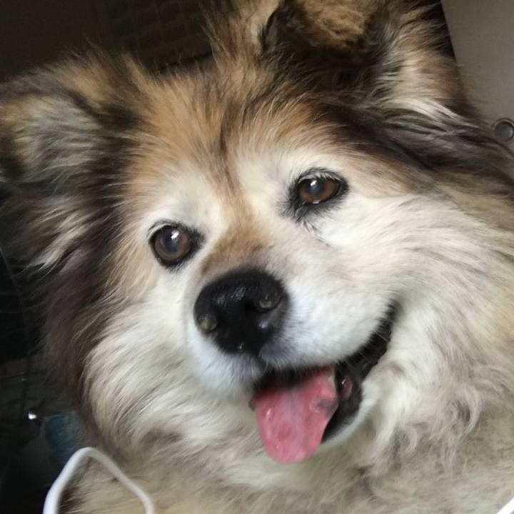 F936948c 7ba9 4290 82dd 83eb5999592a 1632073964463