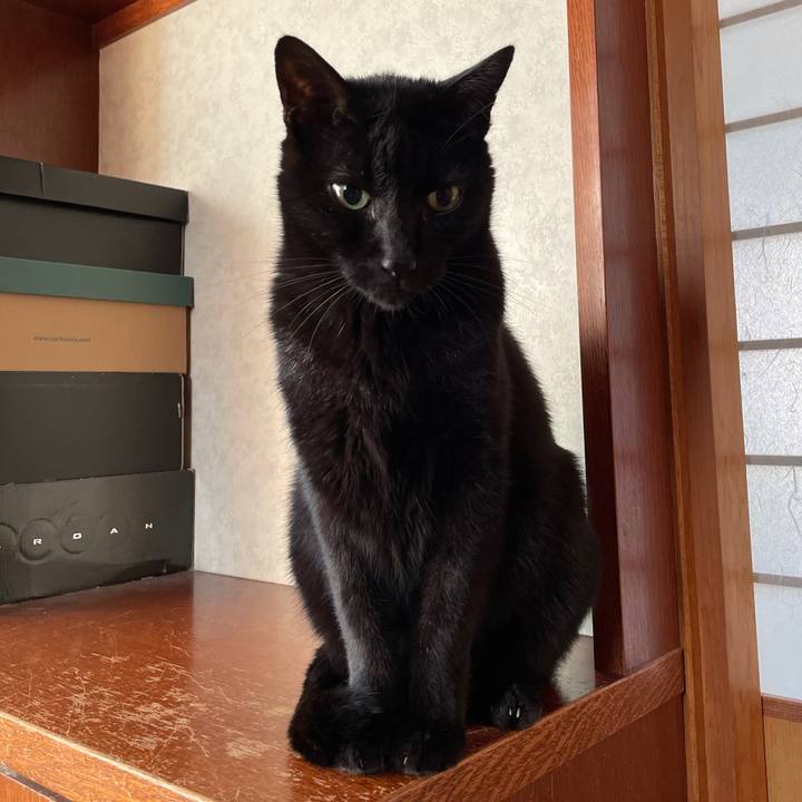 F9369551 08f2 48c9 8fa1 340369c03c41 1605316851598