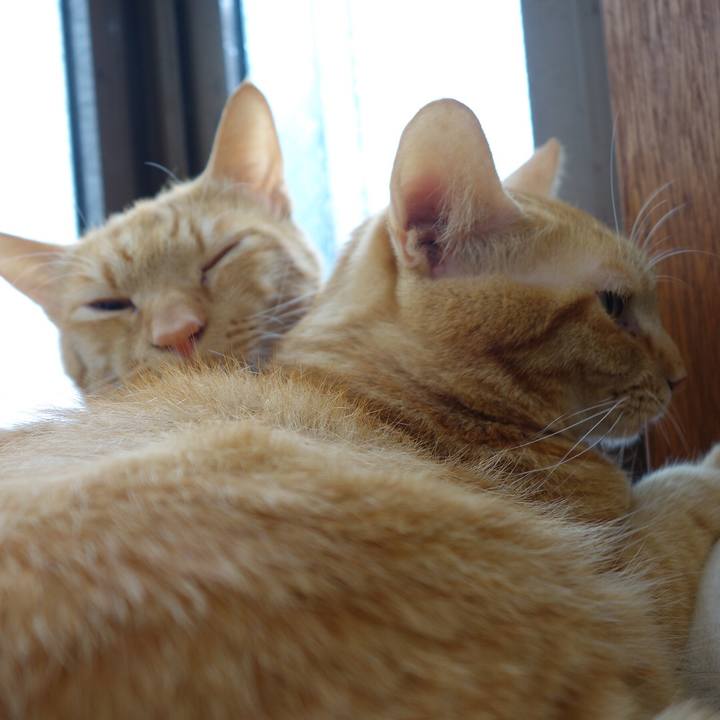 F936c60d c676 43e7 9430 f9052e6bdf4d 1592021021284