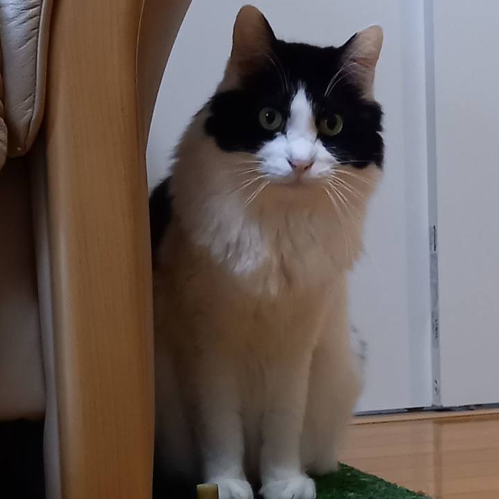 F936cae4 cf2d 4de1 9300 4a5cbbf4b9d2 1673904127320