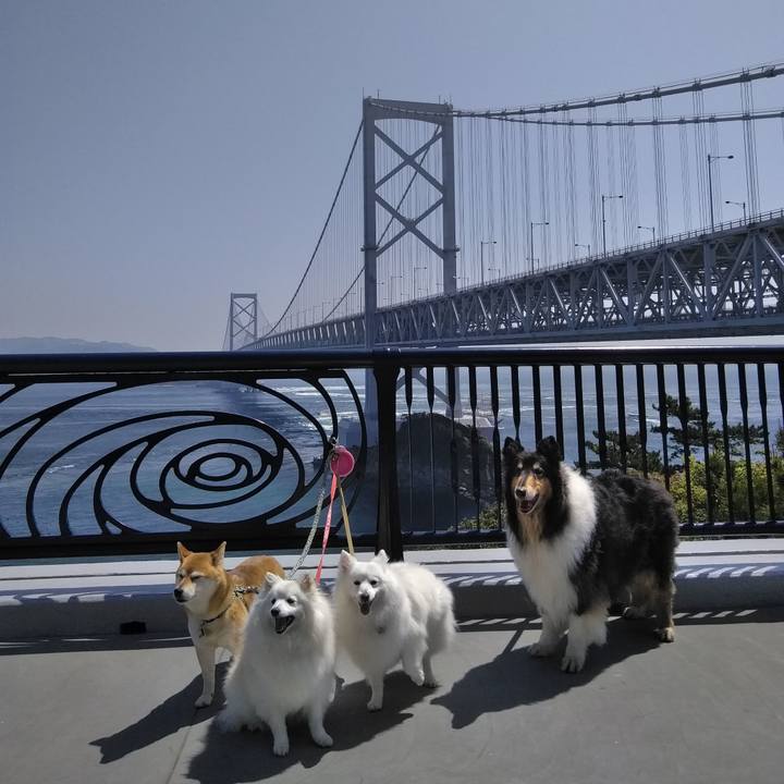 F93713f1 7b2e 42eb bfab cddffeee573d 1524974649869