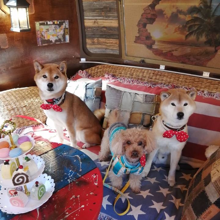 F937204c cb29 41ac 990f df2667c0641a 1645078836728