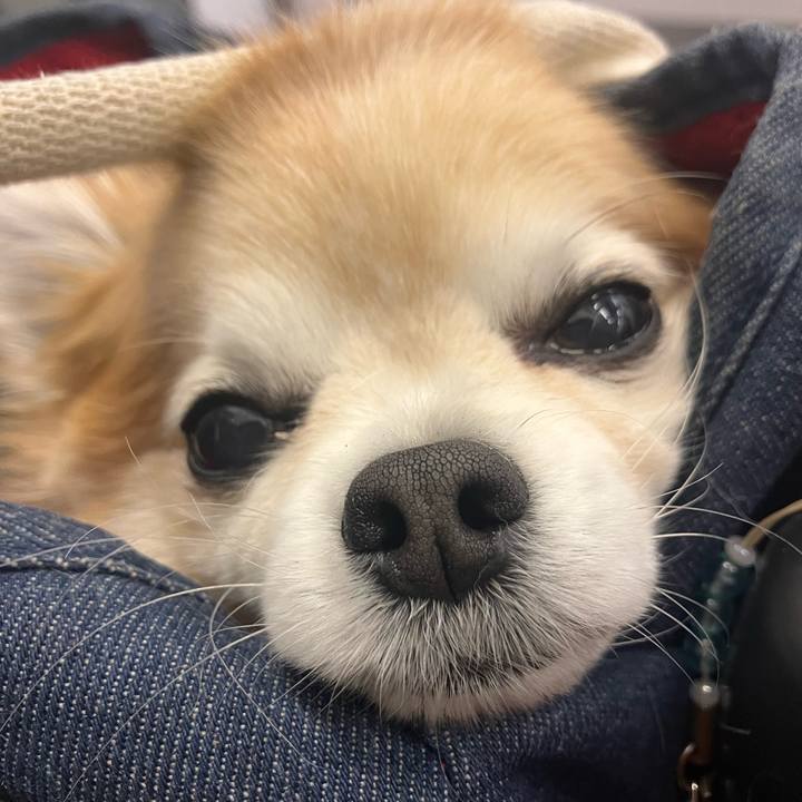 F9372392 8b54 4815 a79b 41e23b70e561 1773780354268