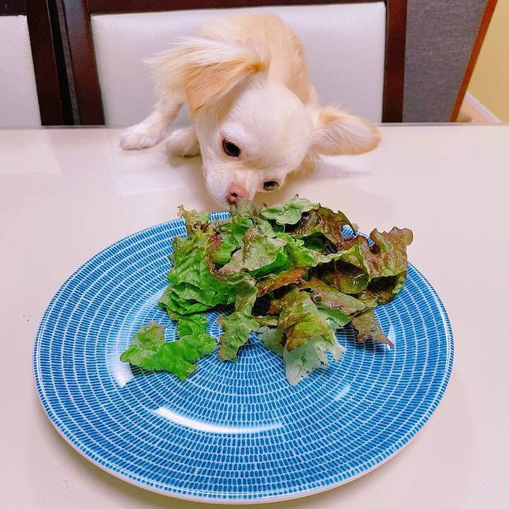 F9378cf3 bb9d 4883 b23a 5d106f3b7574 1625317401333