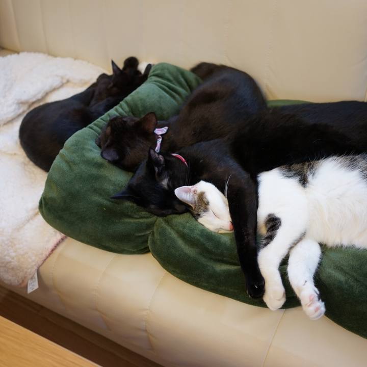 F937a52c c0c5 4a86 94b6 81c9dab3a00b 1529809278435