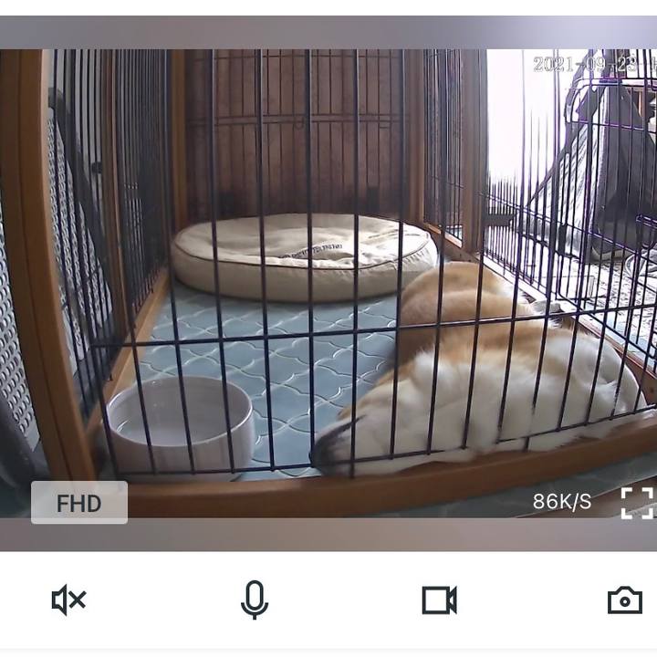 F937eeec f8bb 400e b178 9f0555fe781d 1632373190512