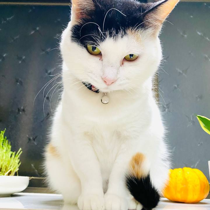 F9380ac3 2386 417b b1d5 7227e6a579da 1675425908671