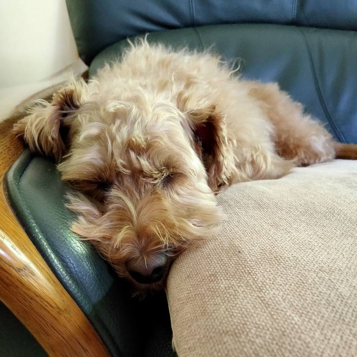 F93835f7 d060 4f57 84eb db9fc7bb76fb 1591312807373