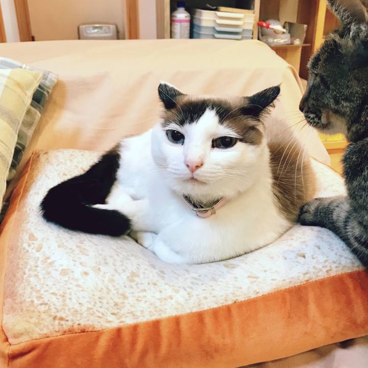 F938444c 80fb 4ab9 83af a1fa45837929 1522978729932