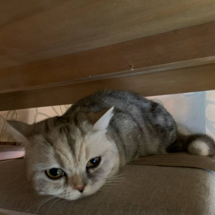 F9385040 3513 4a4a aa78 d973e0b659b4 1712183488250