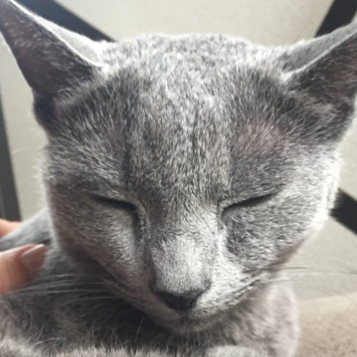 F93859e7 2a9a 4f57 bb7b 4bc58959aa7a 1541373415041