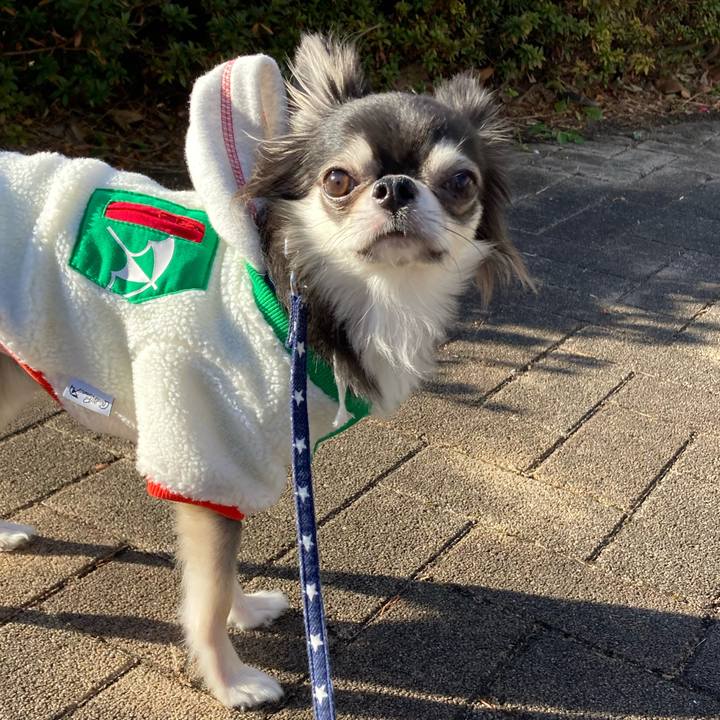 F9386327 d641 4b6a a8f1 4eaee55ef2eb 1641616397367