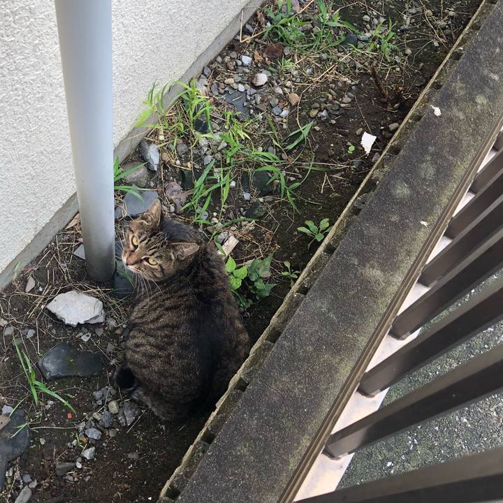 F93876e7 33c4 4886 b893 d4f3a6812524 1537021137968