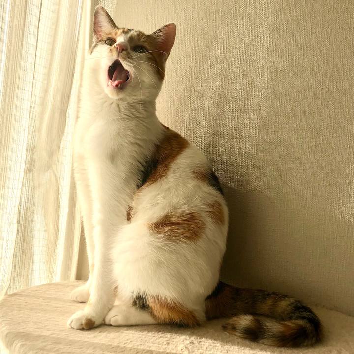 F93894c3 d78d 48f7 a55b 697662a6fa2c 1584255864873