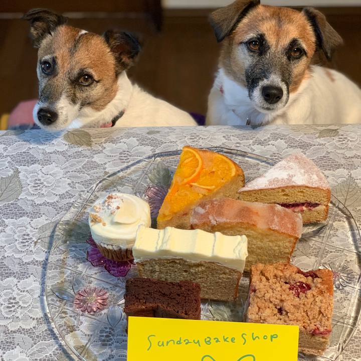 F938b1dd 171d 41c9 86de 697c337b9d36 1643327259752