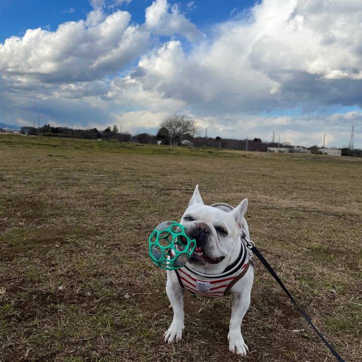 F938f4cf 6294 4c88 9250 61c2f10ace2b 1735426406119