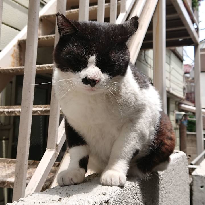 F9392bc9 de26 4054 be78 f221009ea8bd 1621050536710