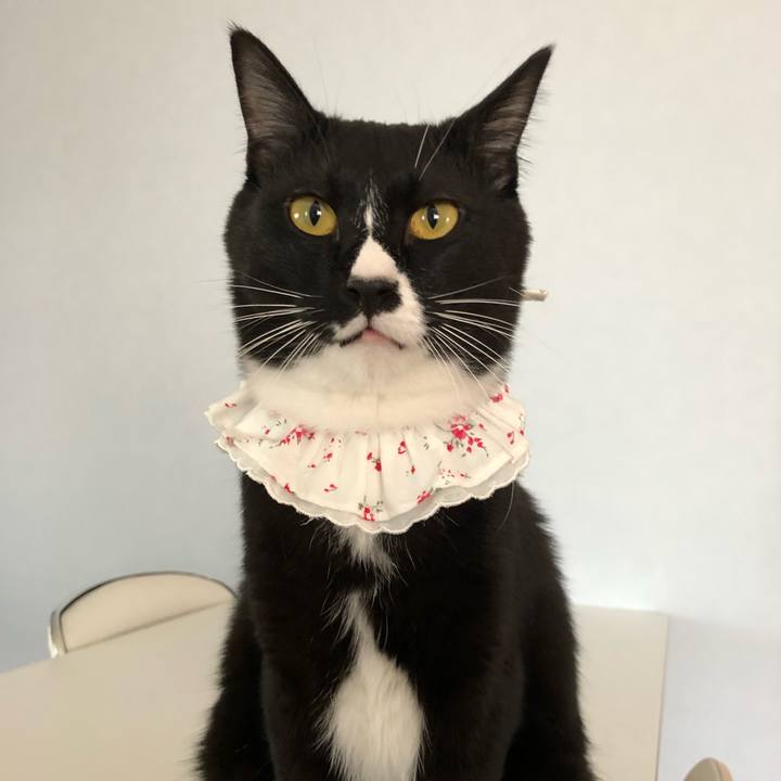 F9396373 fb4c 4497 9d4a ce62a5c1d2ab 1526390832423